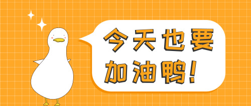 SEO培训案例：用整站优化思维来操作SEO首页排名